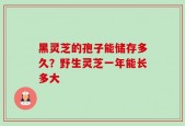 黑灵芝的孢子能储存多久？野生灵芝一年能长多大