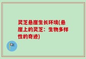灵芝悬崖生长环境(悬崖上的灵芝：生物多样性的奇迹)