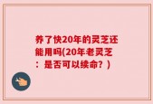 养了快20年的灵芝还能用吗(20年老灵芝：是否可以续命？)