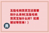 五指毛桃煲灵芝还需要放什么食材(五指毛桃煲灵芝加什么好？优质建议等你来！)