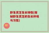 野生灵芝生长特性(探秘野生灵芝的生长环境与习性)