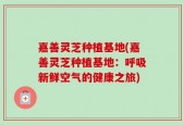 嘉善灵芝种植基地(嘉善灵芝种植基地：呼吸新鲜空气的健康之旅)