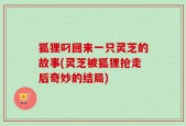 狐狸叼回来一只灵芝的故事(灵芝被狐狸抢走后奇妙的结局)