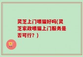 灵芝上门喂猫好吗(灵芝家政喂猫上门服务是否可行？)