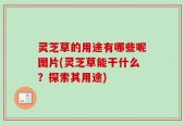 灵芝草的用途有哪些呢图片(灵芝草能干什么？探索其用途)
