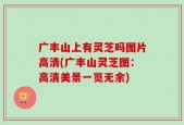 广丰山上有灵芝吗图片高清(广丰山灵芝图：高清美景一览无余)
