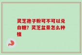 灵芝孢子粉可不可以兑白糖？灵芝盆景怎么种植
