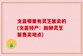 文昌哪里有灵芝蟹卖的(文昌特产：新鲜灵芝蟹售卖地点)