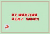 灵芝 破壁孢子(破壁灵芝孢子：倍增功效)