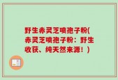 野生赤灵芝喷孢子粉(赤灵芝喷孢子粉：野生收获、纯天然来源！)
