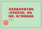 灵芝妖精月季香不香呢(月季香灵芝妖，神仙味道，嗅了瞬间美滋滋！)