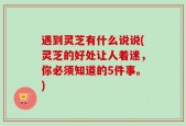 遇到灵芝有什么说说(灵芝的好处让人着迷，你必须知道的5件事。)