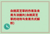 白鹤灵芝草的作用及食用方法图片(白鹤灵芝草的功效与食用方式解析)