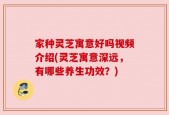 家种灵芝寓意好吗视频介绍(灵芝寓意深远，有哪些养生功效？)