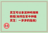灵芝可以拿泥种吗视频教程(如何在家中种植灵芝：一步步的指南)