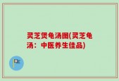 灵芝煲龟汤图(灵芝龟汤：中医养生佳品)