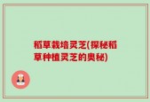 稻草栽培灵芝(探秘稻草种植灵芝的奥秘)