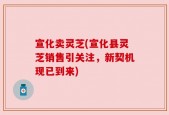 宣化卖灵芝(宣化县灵芝销售引关注，新契机现已到来)