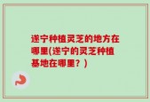 遂宁种植灵芝的地方在哪里(遂宁的灵芝种植基地在哪里？)