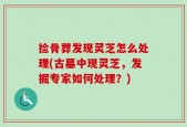 捡骨葬发现灵芝怎么处理(古墓中现灵芝，发掘专家如何处理？)