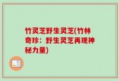 竹灵芝野生灵芝(竹林奇珍：野生灵芝再现神秘力量)