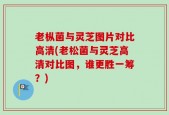 老枞菌与灵芝图片对比高清(老松菌与灵芝高清对比图，谁更胜一筹？)