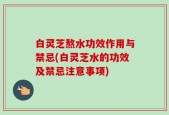 白灵芝熬水功效作用与禁忌(白灵芝水的功效及禁忌注意事项)