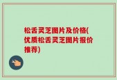 松舌灵芝图片及价格(优质松舌灵芝图片报价推荐)