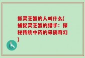 抓灵芝蟹的人叫什么(捕捉灵芝蟹的猎手：探秘传统中药的采摘奇幻)