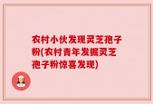 农村小伙发现灵芝孢子粉(农村青年发掘灵芝孢子粉惊喜发现)