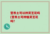 营养土可以种灵芝花吗(营养土可种植灵芝花吗？