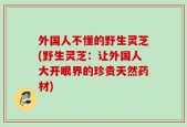 外国人不懂的野生灵芝(野生灵芝：让外国人大开眼界的珍贵天然药材)