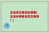 玉溪灵芝基地在哪里(玉溪市哪里有灵芝基地？)