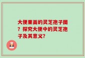 大便里面的灵芝孢子图？探究大便中的灵芝孢子及其意义？