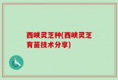 西峡灵芝种(西峡灵芝育苗技术分享)