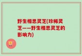 野生相思灵芝(珍稀灵芝——野生相思灵芝的影响力)