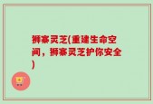 狮寨灵芝(重建生命空间，狮寨灵芝护你安全)
