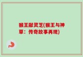 猴王献灵芝(猴王与神草：传奇故事再现)