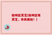 叙州区灵芝(叙州区现灵芝，市民疯抢！)