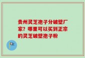 贵州灵芝孢子分破壁厂家？哪里可以买到正宗的灵芝破壁孢子粉
