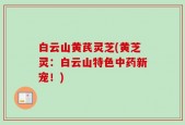 白云山黄芪灵芝(黄芝灵：白云山特色中药新宠！)