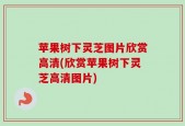 苹果树下灵芝图片欣赏高清(欣赏苹果树下灵芝高清图片)