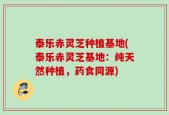 泰乐赤灵芝种植基地(泰乐赤灵芝基地：纯天然种植，药食同源)