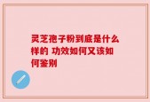 灵芝孢子粉到底是什么样的 功效如何又该如何鉴别