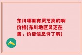 东川哪里有灵芝卖的啊价格(东川地区灵芝在售，价格信息待了解)
