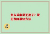 怎么采集灵芝孢子？灵芝发酵最快方法