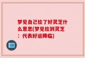 梦见自己捡了好灵芝什么意思(梦见捡到灵芝：代表好运降临)