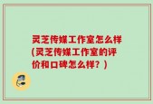 灵芝传媒工作室怎么样(灵芝传媒工作室的评价和口碑怎么样？)