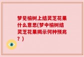 梦见榆树上结灵芝花果什么意思(梦中榆树结灵芝花果揭示何种预兆？)