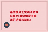 桑树根灵芝煲鸡汤功效与禁忌(桑树根灵芝鸡汤的功效与禁忌)
